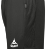 Тренувальні штани SELECT Monaco v24 training pants regular fit Black